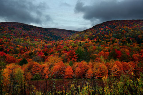 autumn mountain foliage